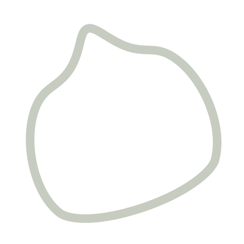 BAO Baby Wear